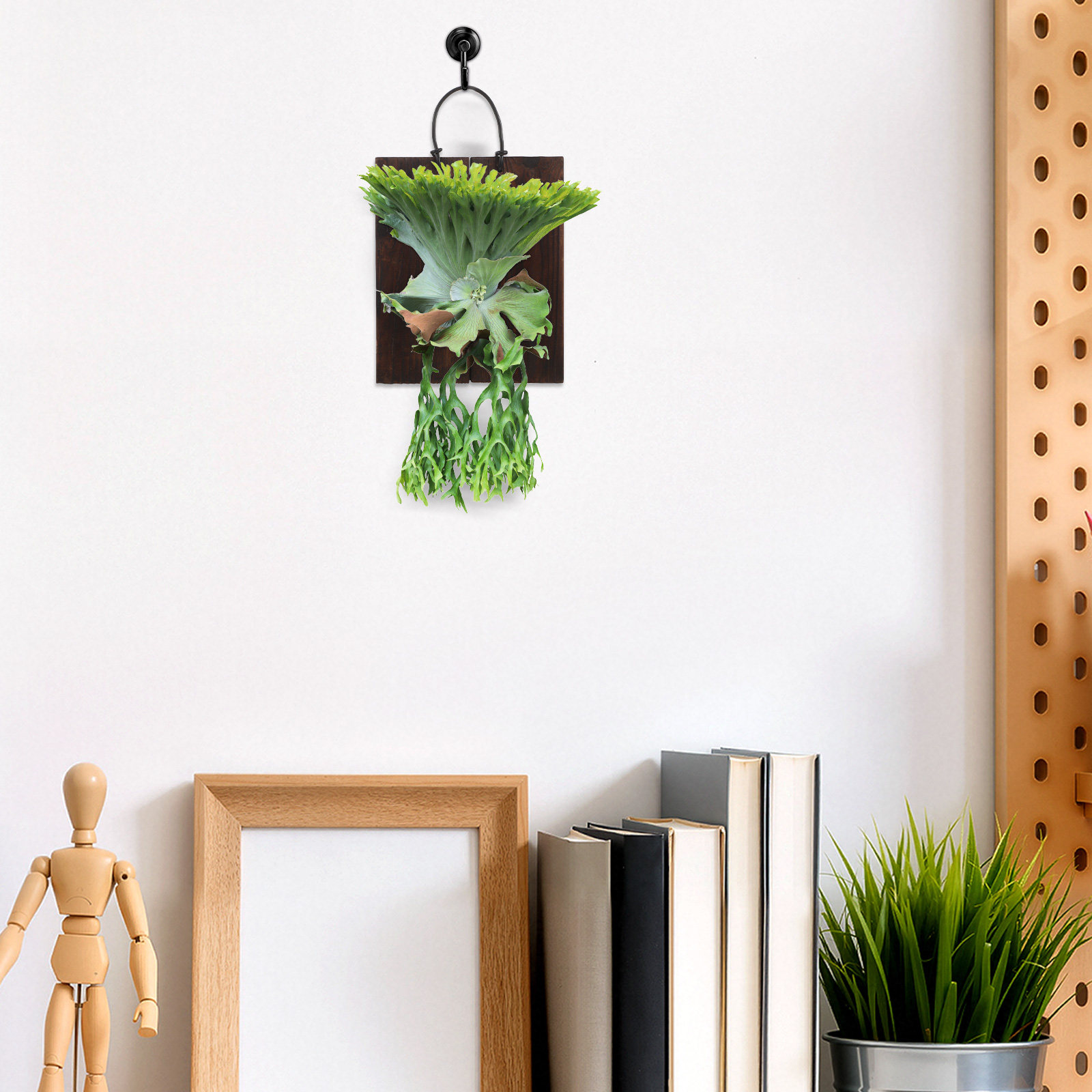 スタッグホーンファーン用マウントボード 木製 垂直ガーデン  - Home Office With Plants のレビューと価格